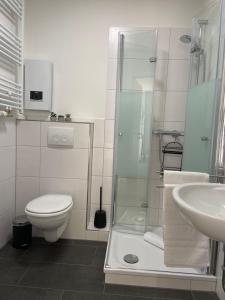 a bathroom with a shower and a toilet and a sink at FeWo Seetraum in Diemelsee +24 photos