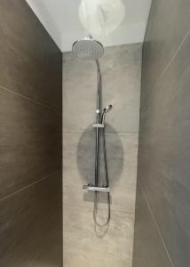 a shower with a shower head in a bathroom at Loc' Maria - Groix Locations in Groix +46 photos