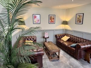a waiting room with leather couches and a plant at Old Grey Mare in York