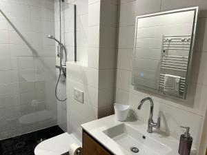 a white bathroom with a sink and a shower at Appartement 9 lumineux, agréable in Ohnenheim