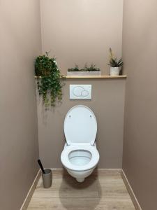 a bathroom with a toilet with plants on a shelf at Le Lodge Champenois in Épernay +20 photos