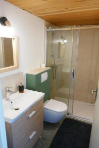 ein Badezimmer mit Dusche, Toilette und Waschbecken in der Unterkunft Studio bois indépendant aux portes de Nantes in La Chapelle-sur-Erdre