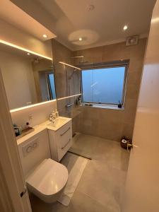 a bathroom with a toilet and a sink and a window at Family apt 10 Minutes From Central in Kongens Lyngby