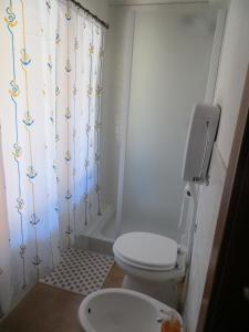 ein Bad mit einem WC und einem Duschvorhang in der Unterkunft Monte Lago in Polpenazze del Garda