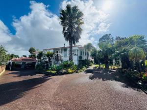a house with a palm tree in front of a driveway at Delight at Golf in Auckland