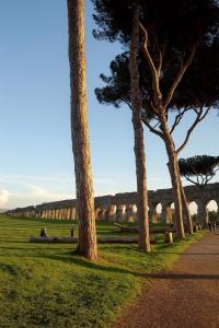a row of trees in a park next to a sidewalk at Bed Cinecitta’ in Rome