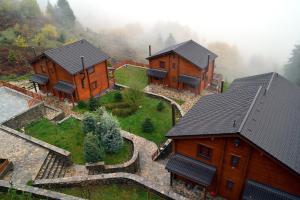 Príroda v okolí horskej chaty + 23 fotografií
