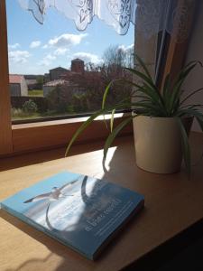 a book sitting on a table next to a potted plant at Le Tamaris Chambres d'hôtes in Sainte-Hermine +8 photos