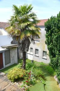 a palm tree in a yard next to a building at L'Insolite in Gorges
