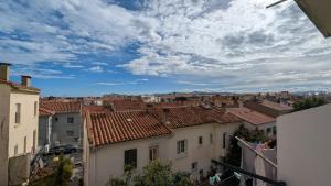 佩皮尼昂Superbe Appartement T3 Centre ville de Perpignan的城市建筑屋顶景观