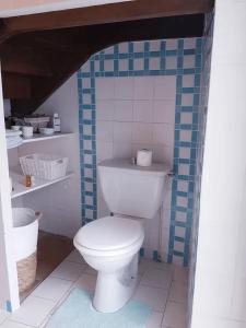 a bathroom with a white toilet and blue tiles at Le Clos Julo - Studio cosy à la campagne avec piscine in Villiers-sur-Loir +10 photos