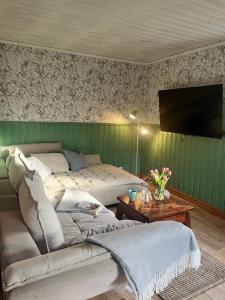 Μια τηλεόραση ή/και κέντρο ψυχαγωγίας στο Hus Lindström