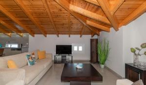 ein Wohnzimmer mit Sofa und Tisch in der Unterkunft Demargia Villa A - Loft Apartment in Áno Yerakaríon