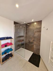 a bathroom with a shower with a glass door at Gîte a la source in Bergholtz-Zell