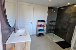 a bathroom with a sink and a shower at Gîte a la source in Bergholtz-Zell +18 photos