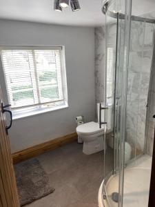 a bathroom with a toilet and a glass shower at Cottage by the Castle grade II in Kenilworth
