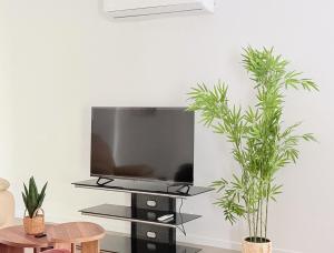 einen Flachbild-TV auf einem Stand mit zwei Pflanzen in der Unterkunft Spacious Family Home 4B2B in Browns Plains in Browns Plains