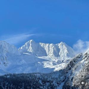 una montaña cubierta de nieve con árboles delante de ella en Il nido delle Alpi, en Passo del Tonale