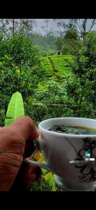 a person is holding a cup of soup at Daresh home stay in Maskeliya