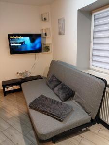 un salon avec un canapé et une télévision à écran plat dans l'établissement Apartament dwupoziomowy Dom na patio Kościuszki self-check-in, à Katowice