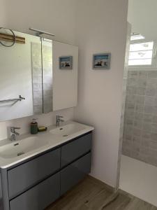 a bathroom with a sink and a mirror and a shower at Villa Ti'Kawet in Pointe-Noire +7 photos