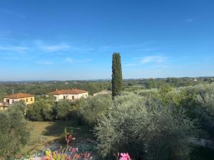 a view of a garden with a tree and houses at Casal di Peppe B&B in Lorenzana