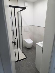 a bathroom with a toilet and a glass shower door at Monteurzimmer im Zentrum von Kaiserslautern in Kaiserslautern