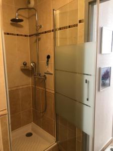 a shower with a glass door in a bathroom at Résidence L'écume in Saint-Cyprien-Plage