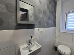 Un baño con lavabo, inodoro y espejo. en Mikra Homes24 in Gößnitz, en Gößnitz