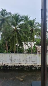 a view of palm trees from a train window at Sea view villa 3 in Kāsaragod