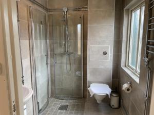 a bathroom with a shower and a toilet at Amiralsgatan - City apartments in Malmö