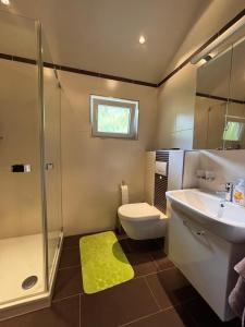 ein Badezimmer mit Waschbecken, Toilette und Dusche in der Unterkunft Haus am See in Biersdorf