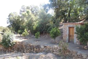 a stone house with a wooden door and trees at L'Ortu Di Pisettu -2 in Conca