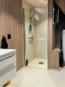 een douche met een glazen deur in een badkamer bij Modern Cabin With Panoramic Views In Nøsen in Lykkja