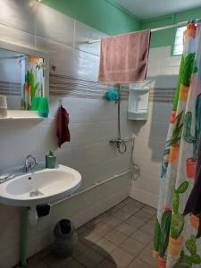 een badkamer met wastafel en douche bij Chez Marino & Charlie in Le Lamentin