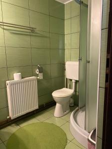 a green bathroom with a toilet and a radiator at Pensiunea Iulia in Bran