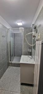 a bathroom with a sink and a shower at Cheile Braitei in Lupeni
