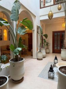 a courtyard with a bunch of potted plants at Riad BB Marrakech in Marrakech