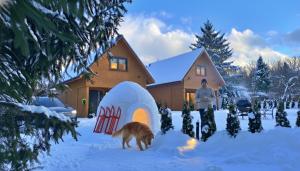 Una mujer parada frente a una casa con un perro en la nieve. en Dream Home 600m2 EV WiFi600 PlaySt Kominek Las10min, en Polanica-Zdrój