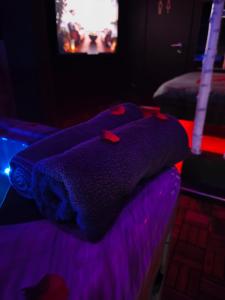 a bedroom with a purple bed with a tv in the background at Suite love Jacuzzi in Charleroi