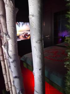 TV a/nebo společenská místnost v ubytování Suite love Jacuzzi + 17 fotografií