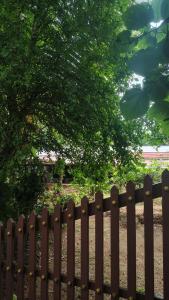 Zahrada ubytování Casa Areca