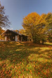 een huis op een veld voor een boom bij Rèfol Lodge Val di Ledro in Pur