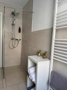 a bathroom with a shower and a white sink at Idyllische Wohnung mit Küche & Bad in Bielefeld in Bielefeld