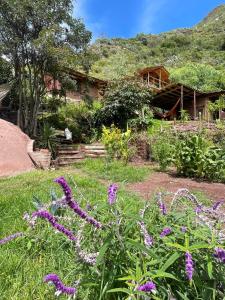 Zahrada ubytování Sevawasi + 4 fotografie