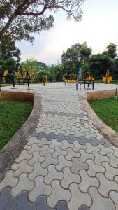 Příroda nedaleko penzionu + 13 fotografií