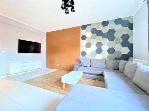 a living room with a couch and a tv at Apartament nad Kwisą Mountain Aparts in Świeradów-Zdrój