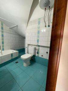 a bathroom with a toilet and a bath tub at Arachova Comfort in Arachova