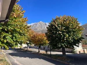 a street with trees and a mountain in the background at Casa Albe in Massa dʼAlbe