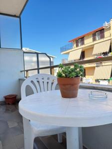 a white table with a potted plant on a balcony at Alba Vesuviana B&B in Poggiomarino